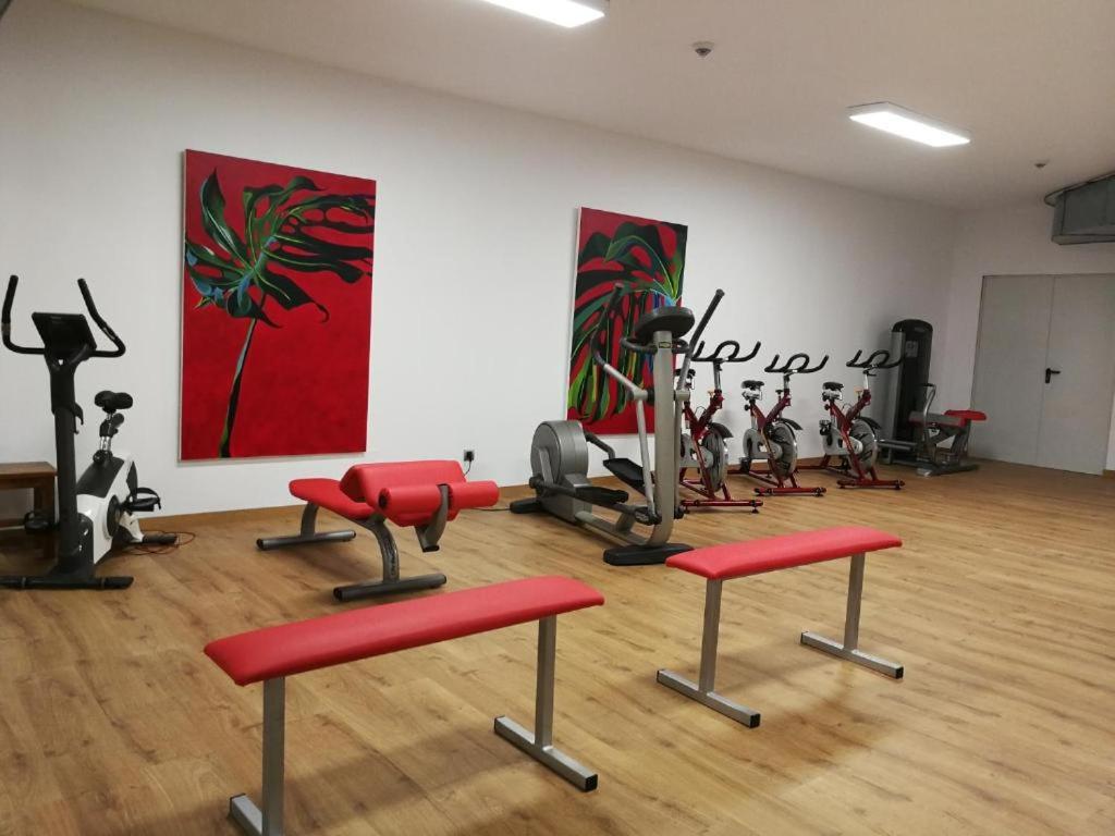 Playa Joyel Family Rooms نوخا المظهر الخارجي الصورة